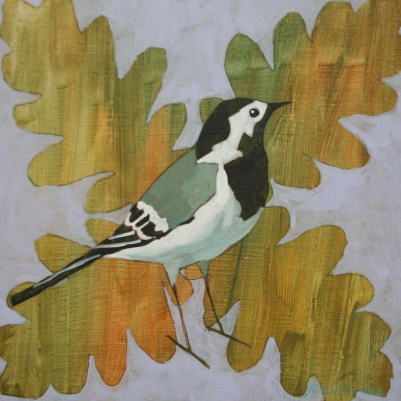 Pied Wagtail on Oak Leaves